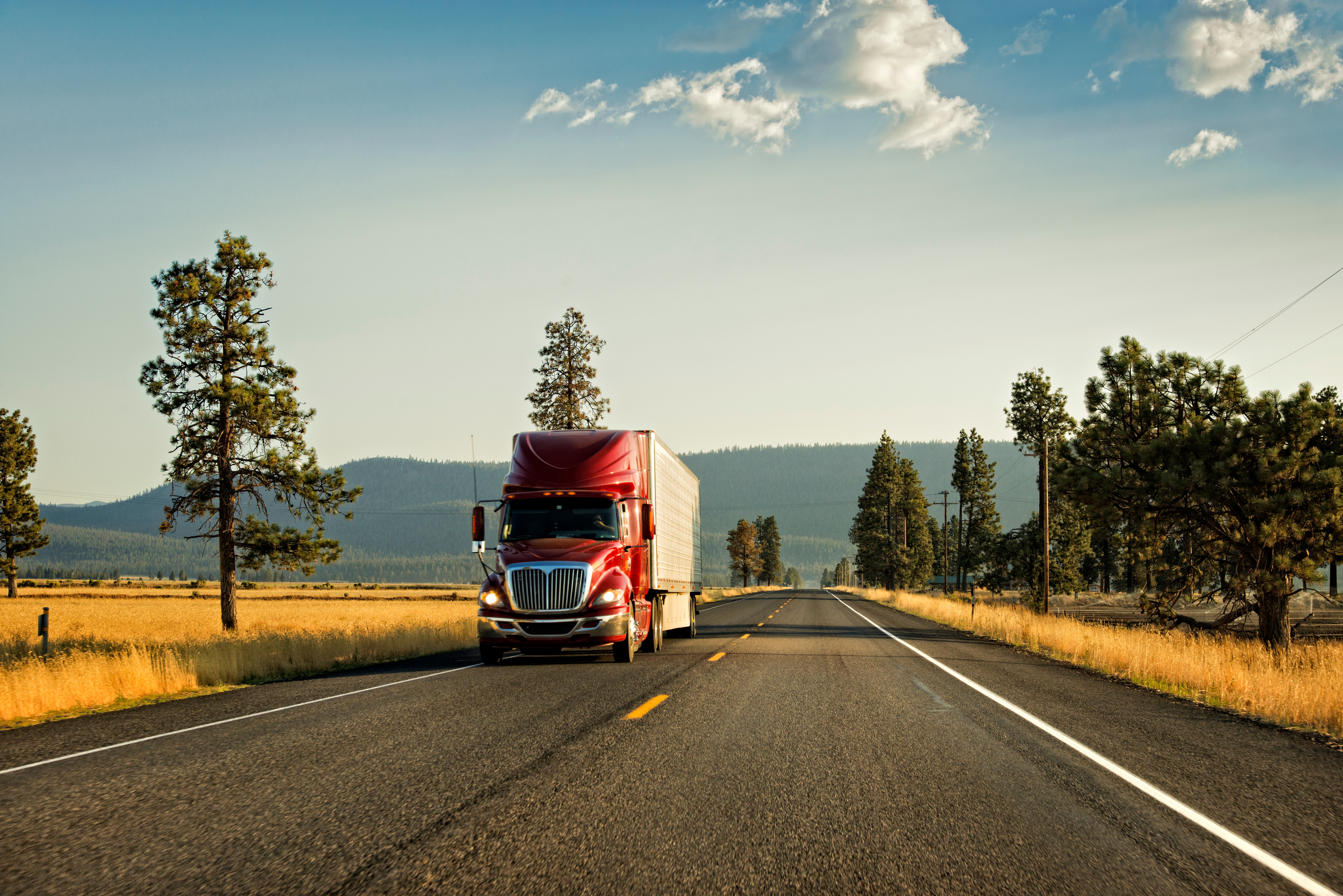 Thomas Winz/Getty Images