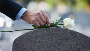 Cropped shot of a hand placing a white rose on a grave