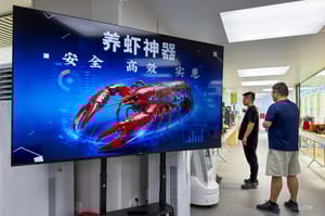 Photo of OpenClaw illustration in China Photo of OpenClaw illustration in China