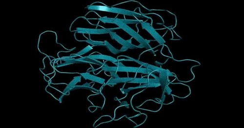 SCIENCE. RESEARCH ARTICLE. PROTEIN STRUCTURE PREDICTION BY AI LLM.  Evolutionary-scale prediction of atomic-level protein structure with a  language model 