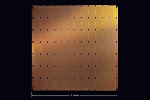 Wafer Scale Engine processor (WSE)