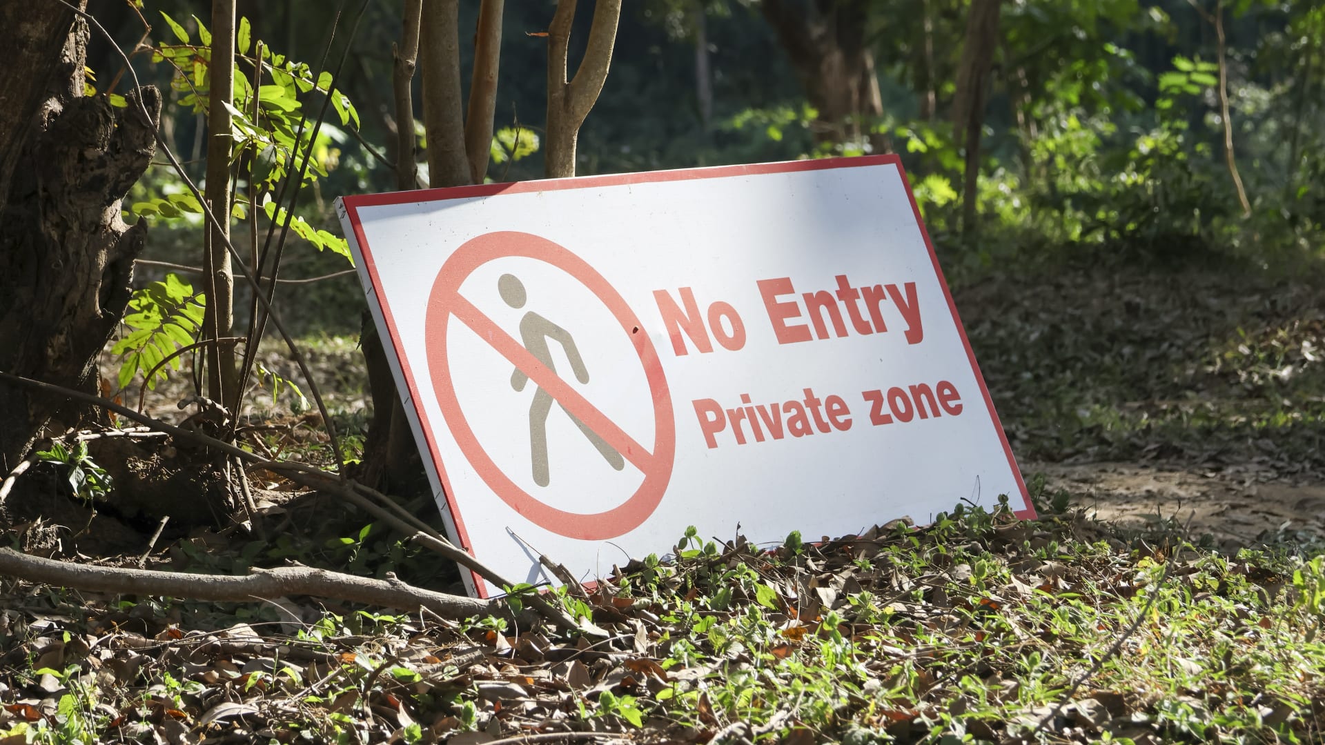 AI Agents Undermine Progress in Browser Security