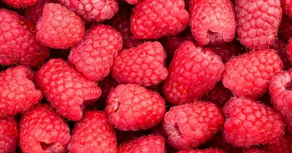 Raspberry Robin Jumps on 1-Day Bugs to Nest Deep in Windows Networks Raspberry Robin Jumps on 1-Day Bugs to Nest Deep in Windows Networks