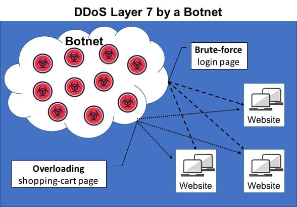 DIY Botnet Detection: Techniques and Challenges