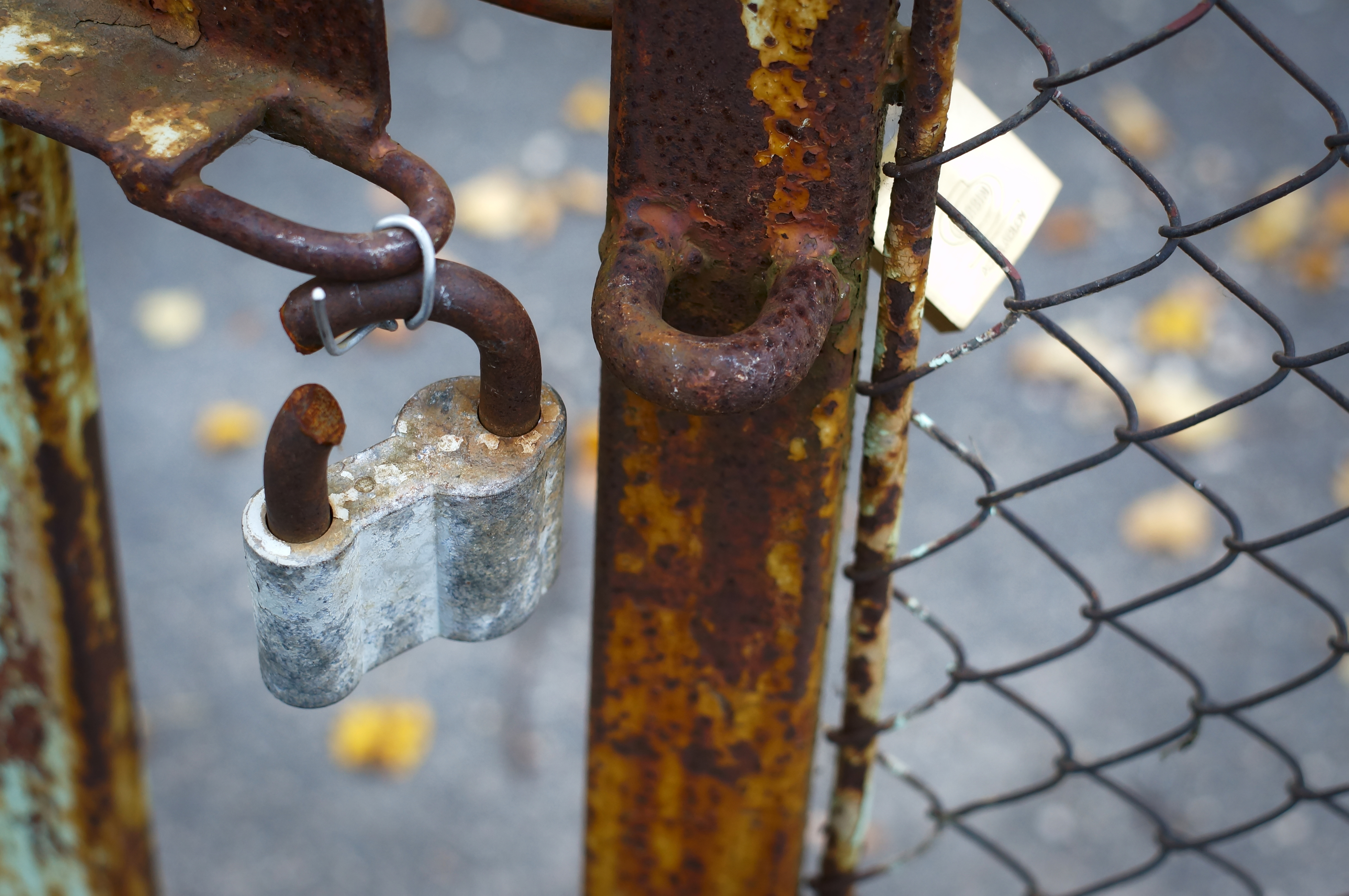 Rusty lock cut open and hanging on an open, rusty gate