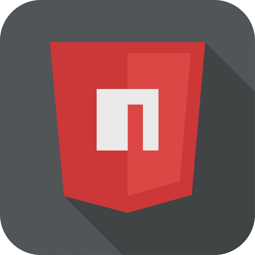 image of npm logo with an "n"