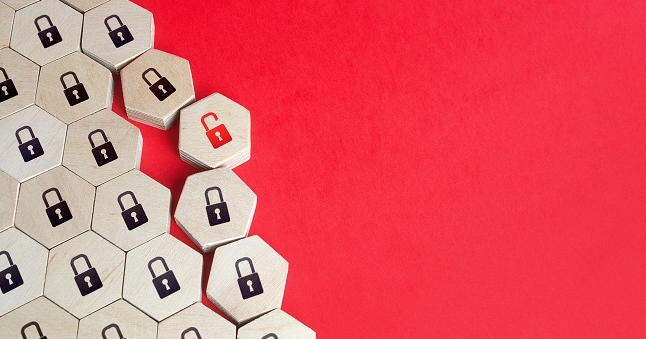 The Challenge of CVE Incentives The Challenge of CVE Incentives