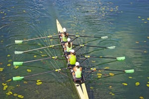 Photo of a team of four female rowers sculling down a leaf-littered river