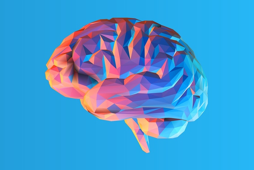 Digital image of brain