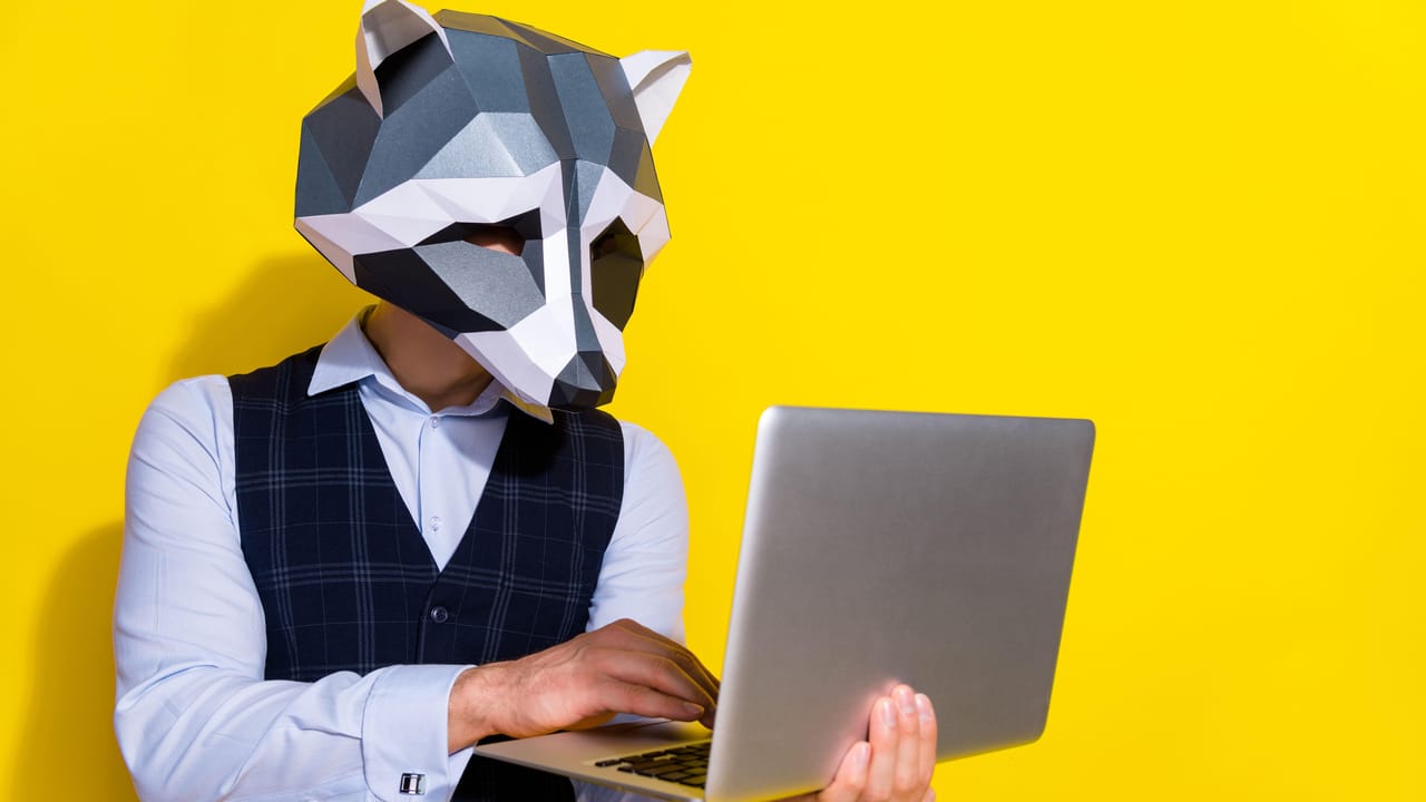 アライグマのマスクをかぶった男性がコンピューターでコードを書く アライグマのマスクをかぶった男性がコンピューターでコードを書く