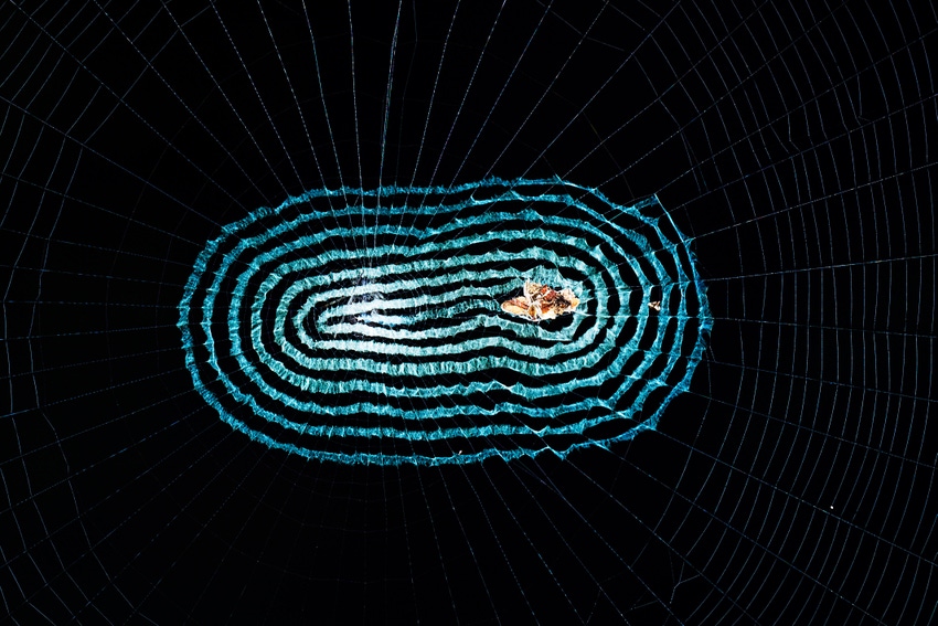 Spiderweb image 