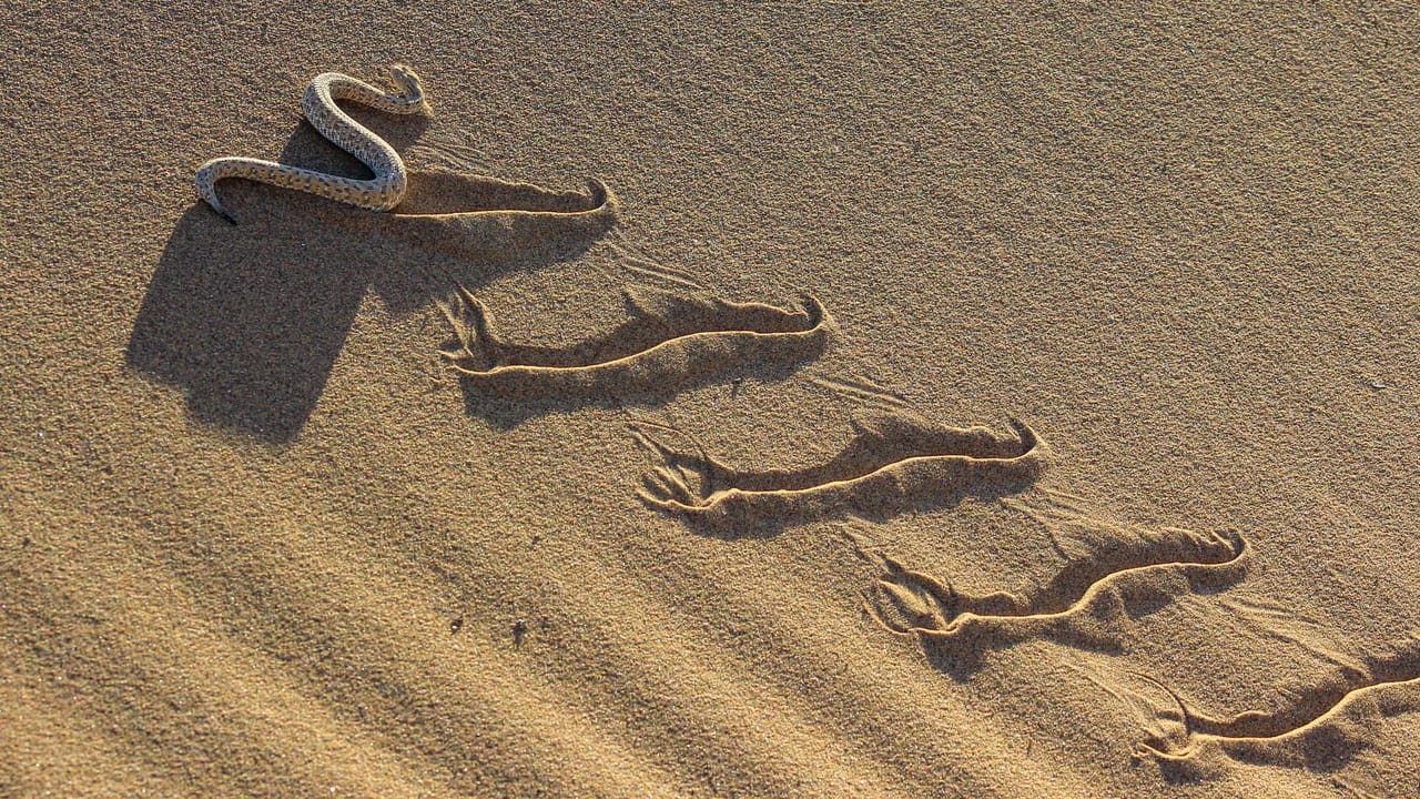 SideWinder Espionage Campaign Expands Across Southeast Asia