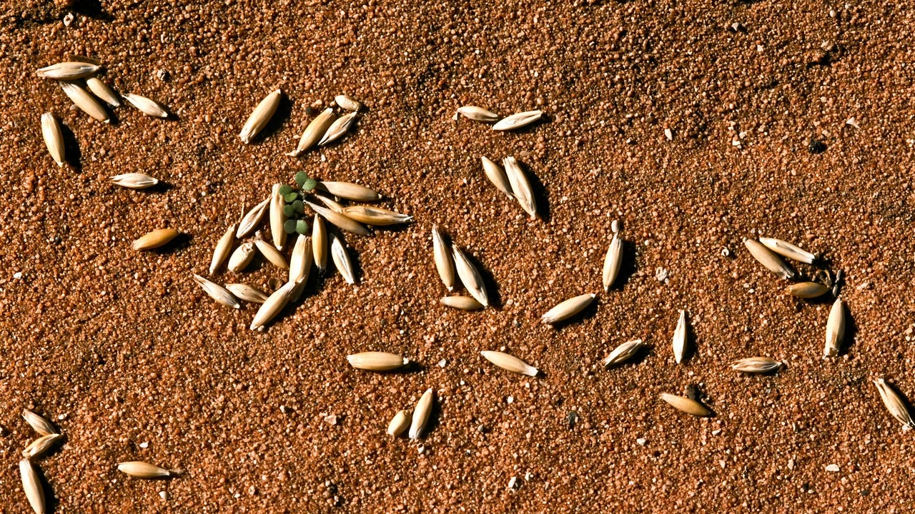 Ο επιτιθέμενος 'PoisonSeed' παρακάμπτει τα κλειδιά FIDO