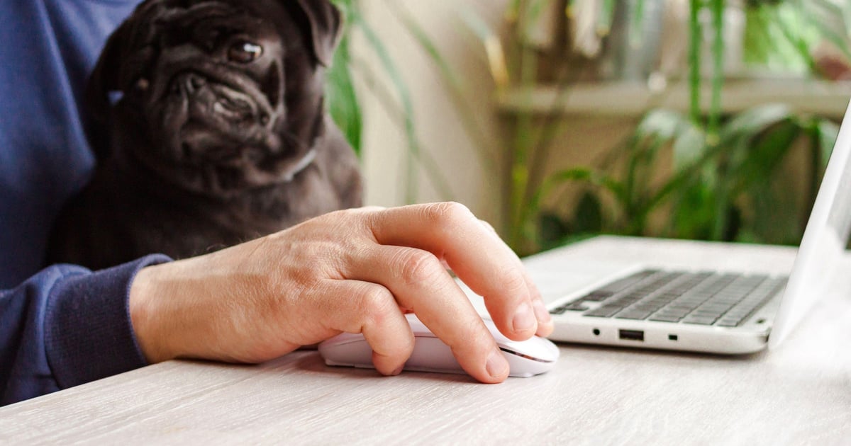 The Hidden Dangers of Remote Work The Hidden Dangers of Remote Work