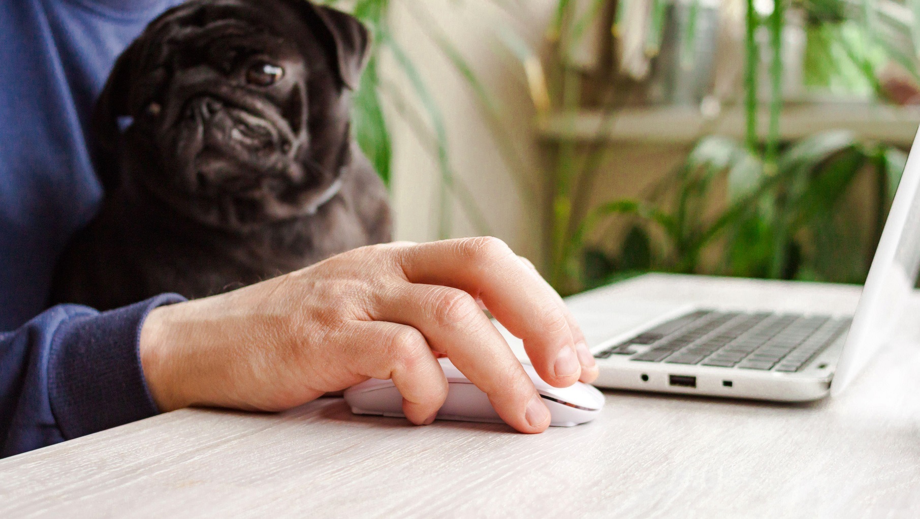Remote Work’s Hidden Dangers