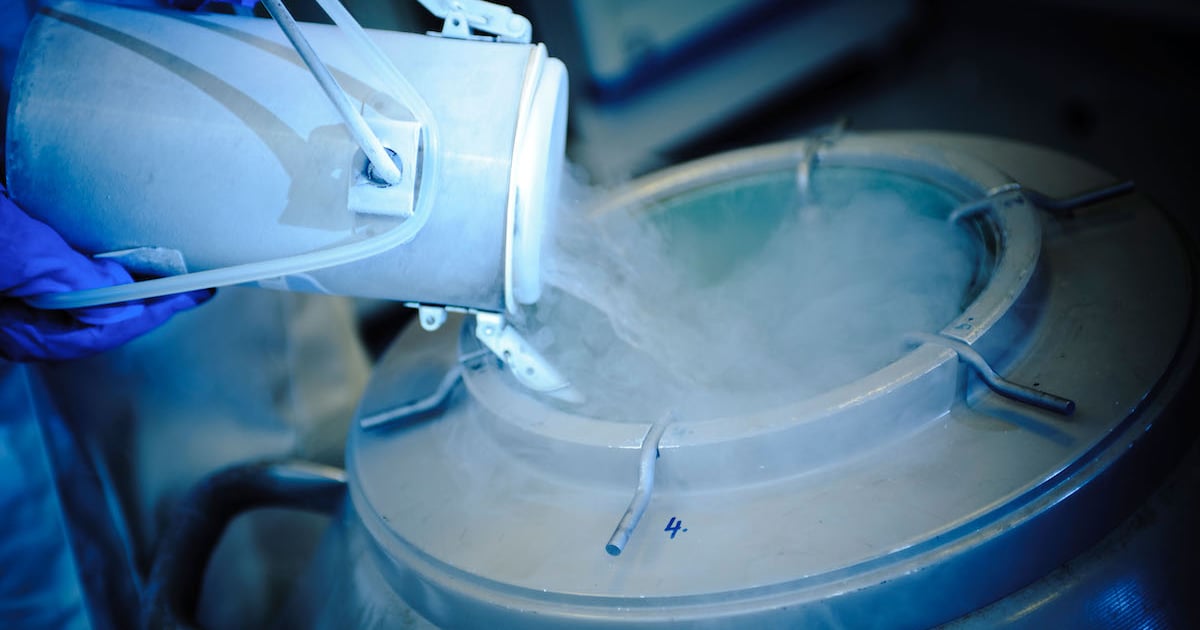 'Nitrogen' Ransomware Effort Lures IT Pros via Google, Bing Ads