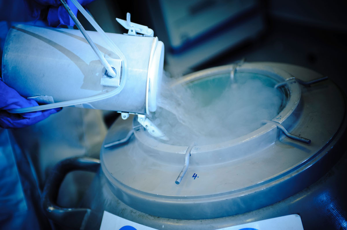 'Nitrogen' Ransomware Effort Lures IT Pros via Google, Bing Ads