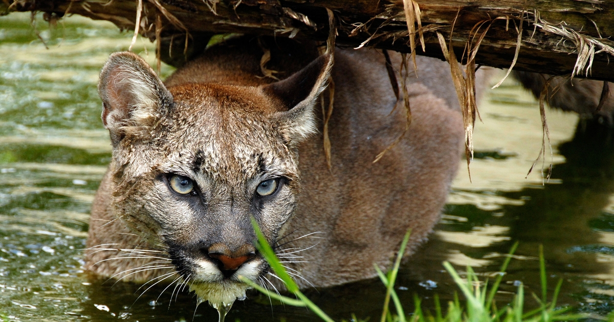 Bookmark Bild