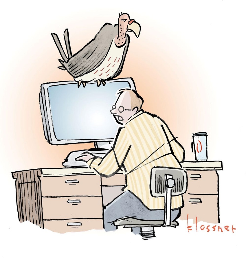 Picture of a vulture sitting on top of an employee's computer.