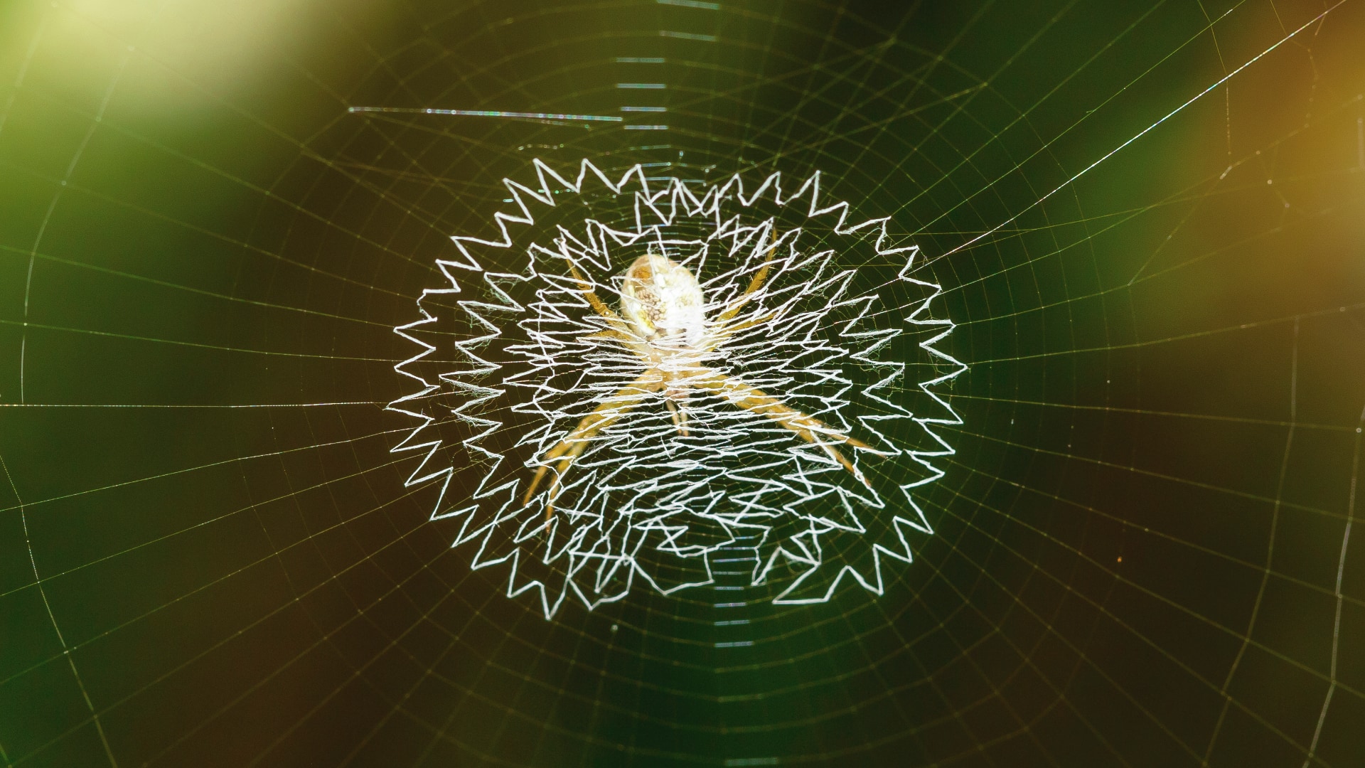 Post-Quantum Web Could be Safer, Faster