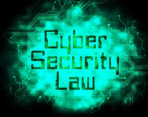 The words Cyber Security Law