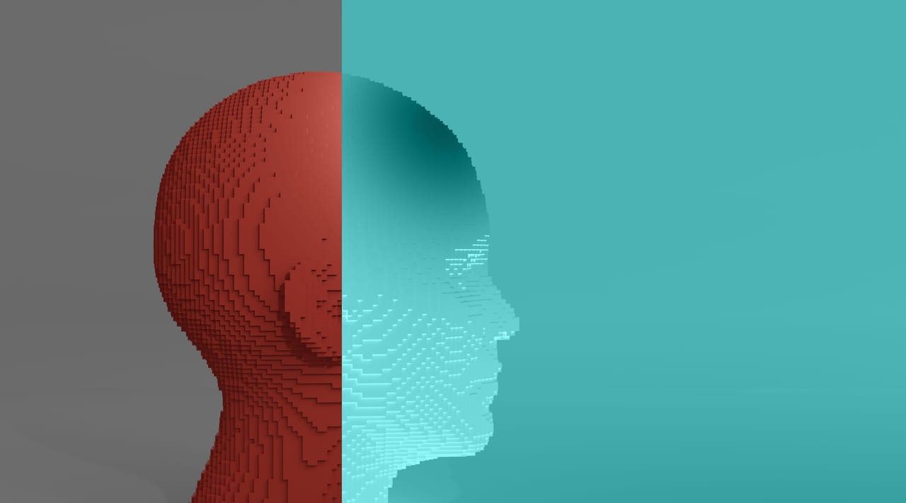 頭部の3Dモデル、半分が赤、半分が青 頭部の3Dモデル、半分が赤、半分が青