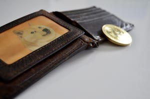 Wallet with a coin and Doge image