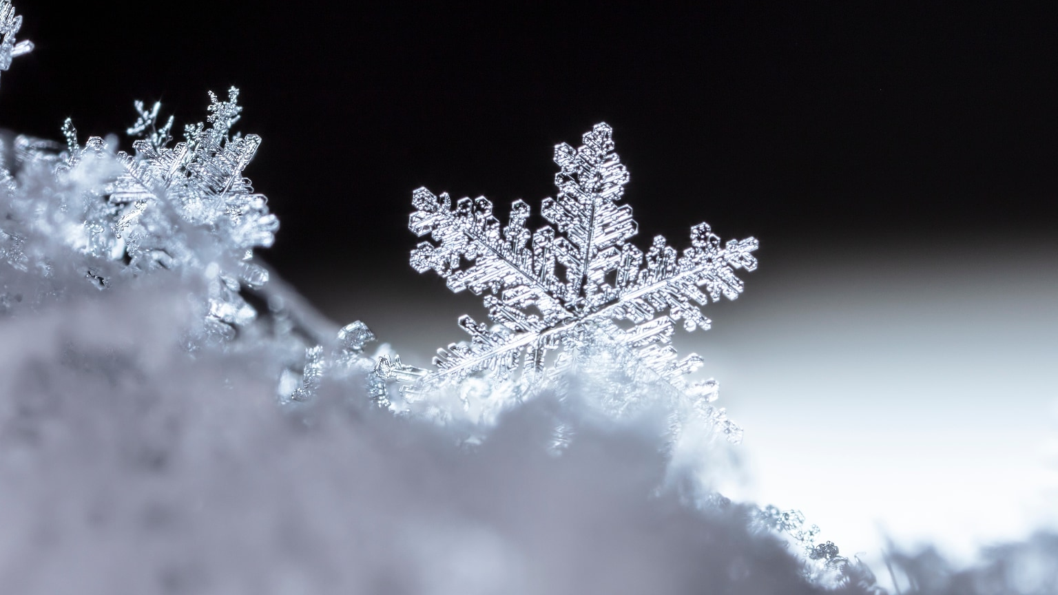 Dormant macOS Backdoor ChillyHell Resurfaces