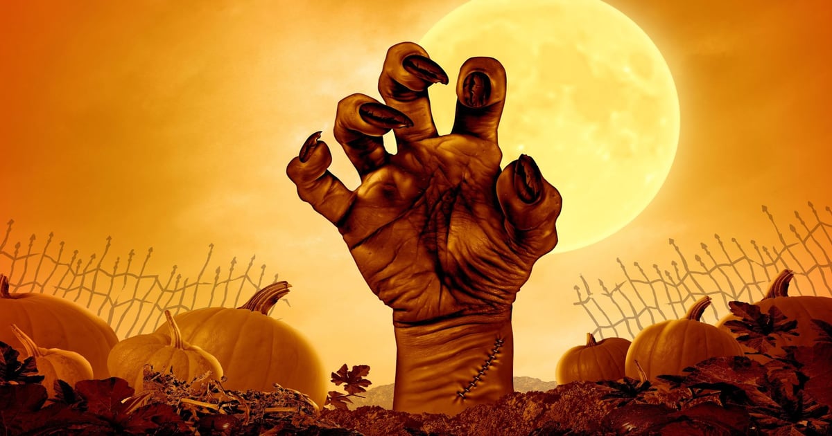 Bury End-of-Life Software