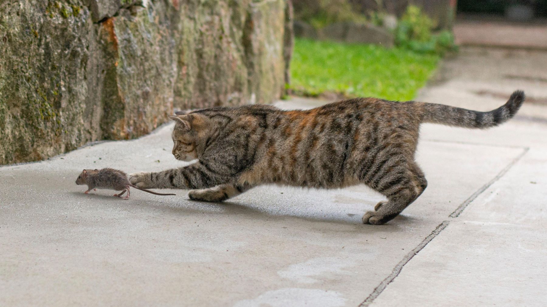 Why Threat Hunting Should Be Part of Every Security Program