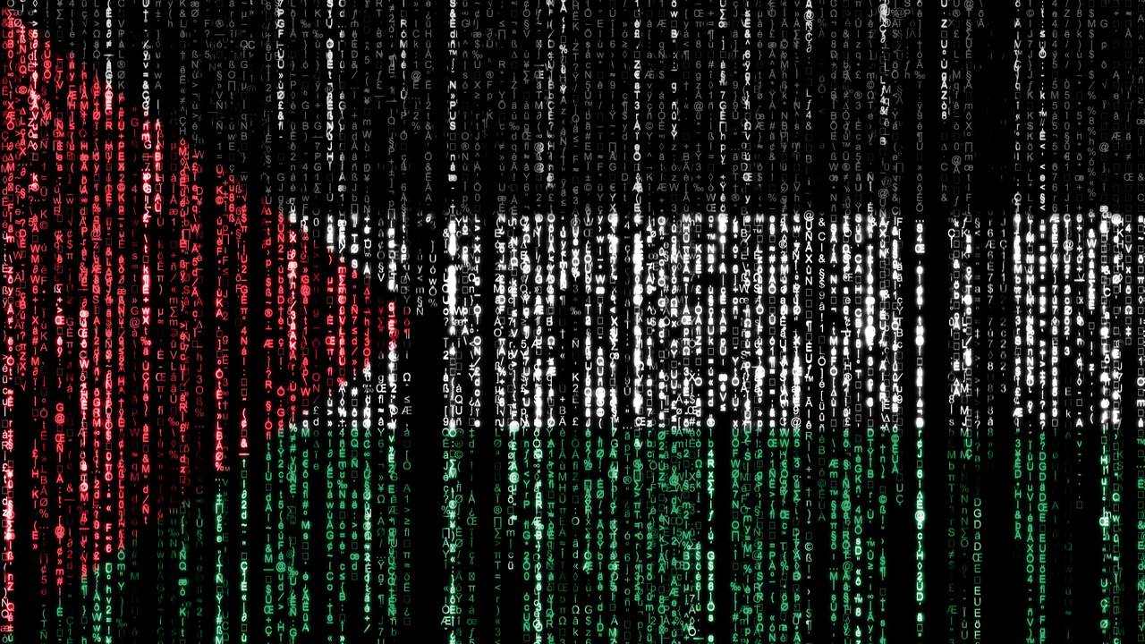 The Palestine flag overlaid with binary code The Palestine flag overlaid with binary code