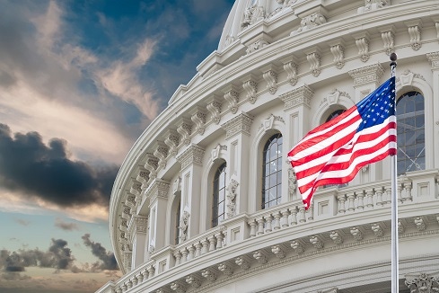 image of US Capitol with American flag waving