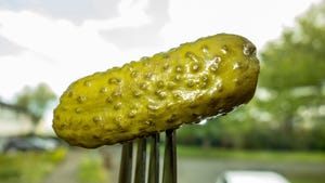 A pickle on a fork
