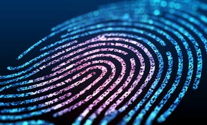Digital image of a fingerprint