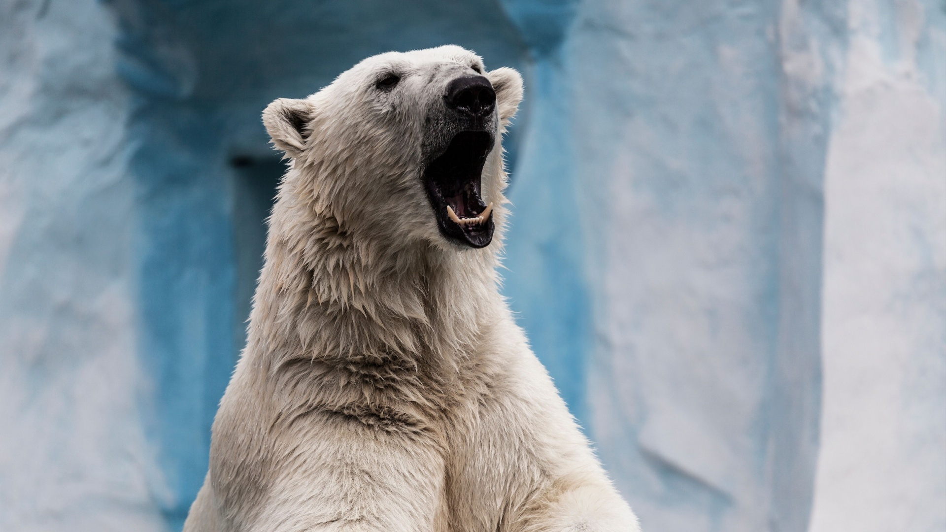 FBI, Cisco Warn of Russian Attacks on 7-Year-Old Flaw