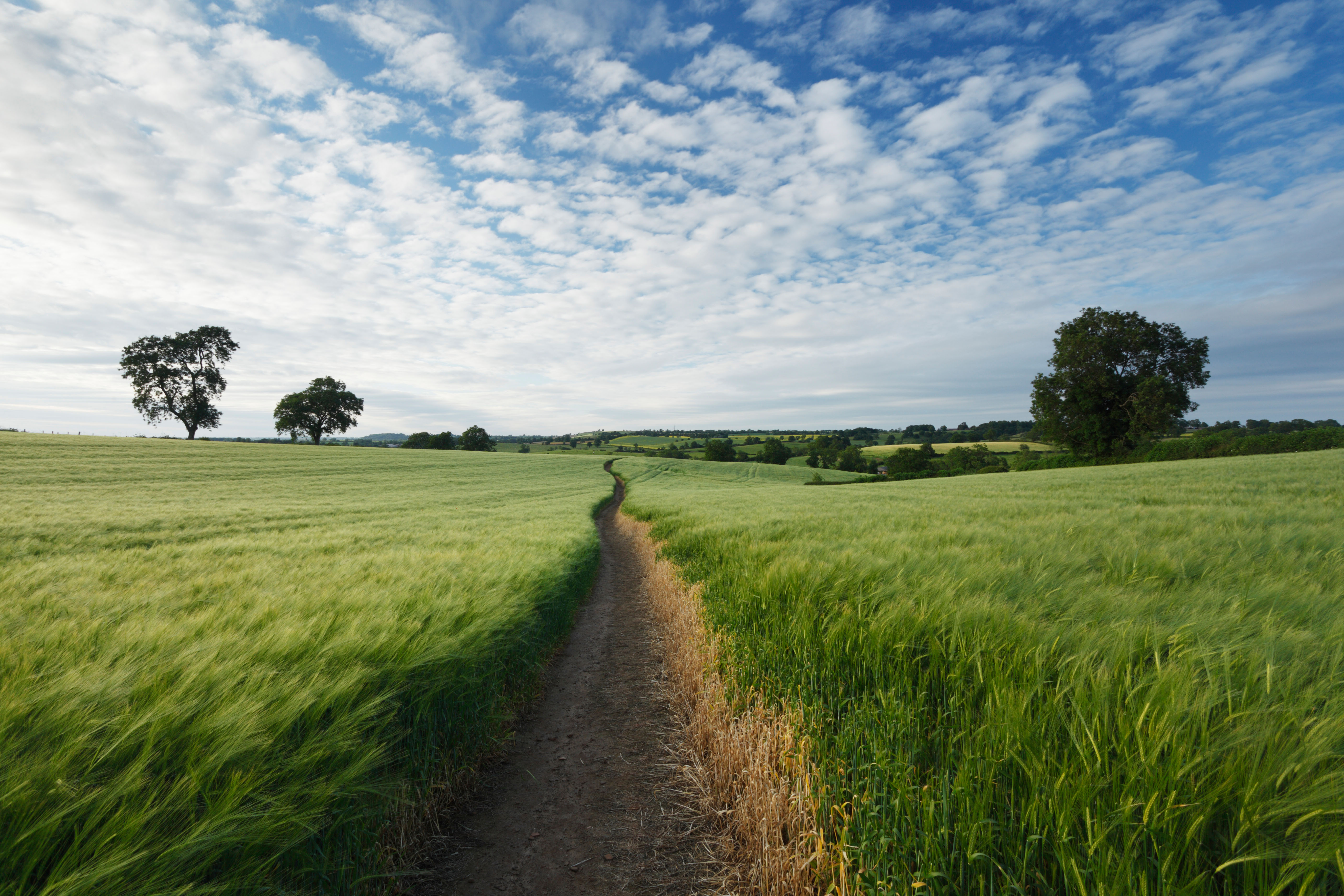 From FBI to CISO: Unconventional Paths to Cybersecurity Success