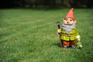 garden gnome on a lawn