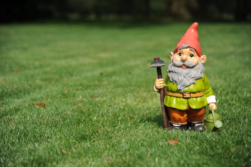 garden gnome on a lawn