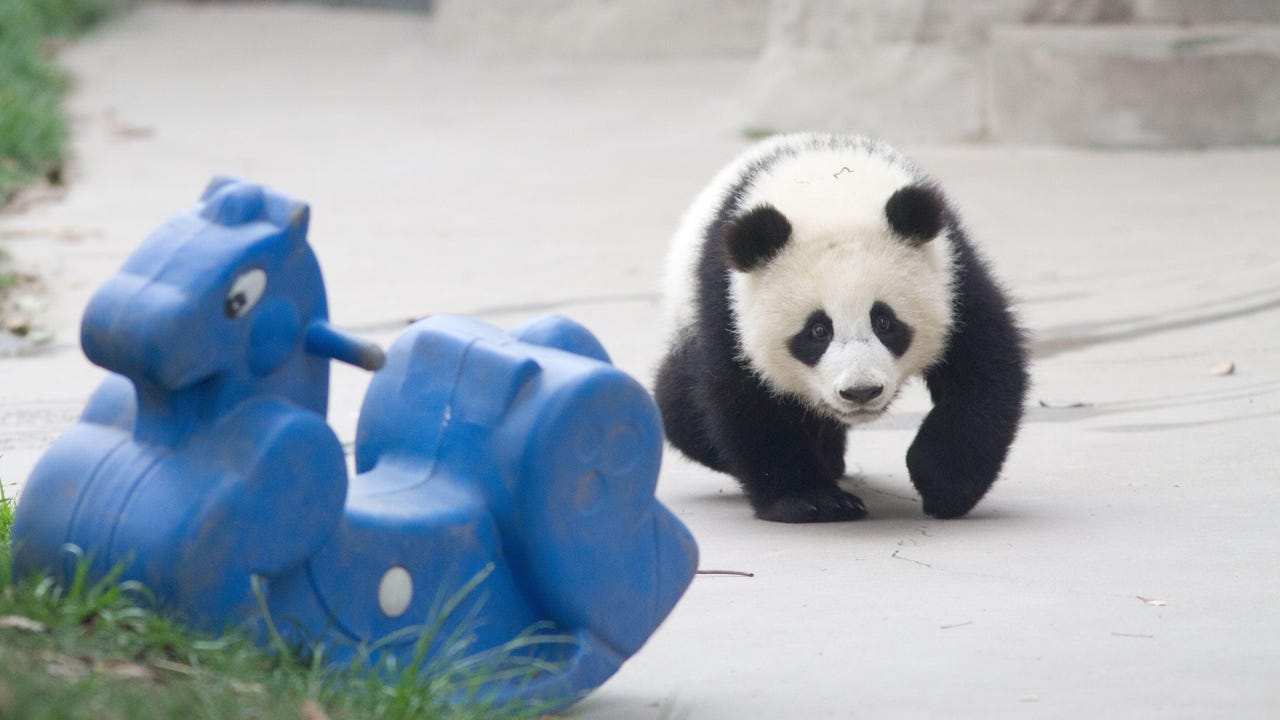 Chinese APT Mustang Panda Debuts 4 New Attack Tools