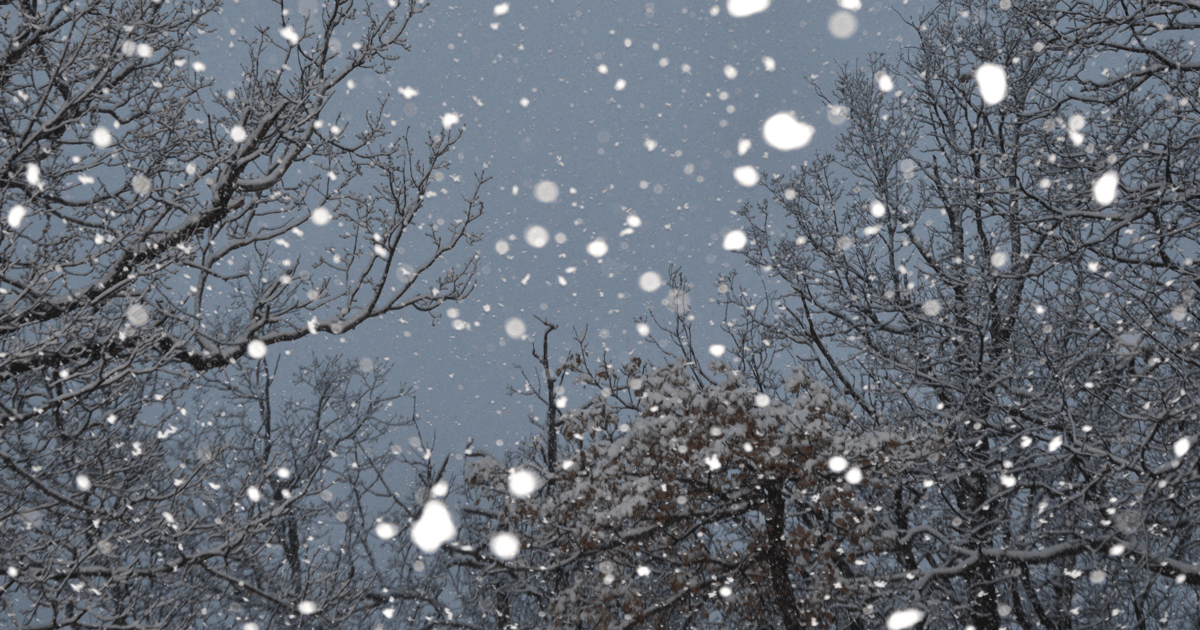 Russia's Star Blizzard Ditches ClickFix to Widen Phishing Net