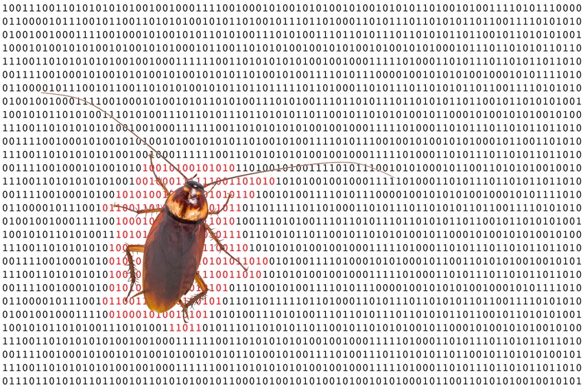 A cockroach crawling on software code