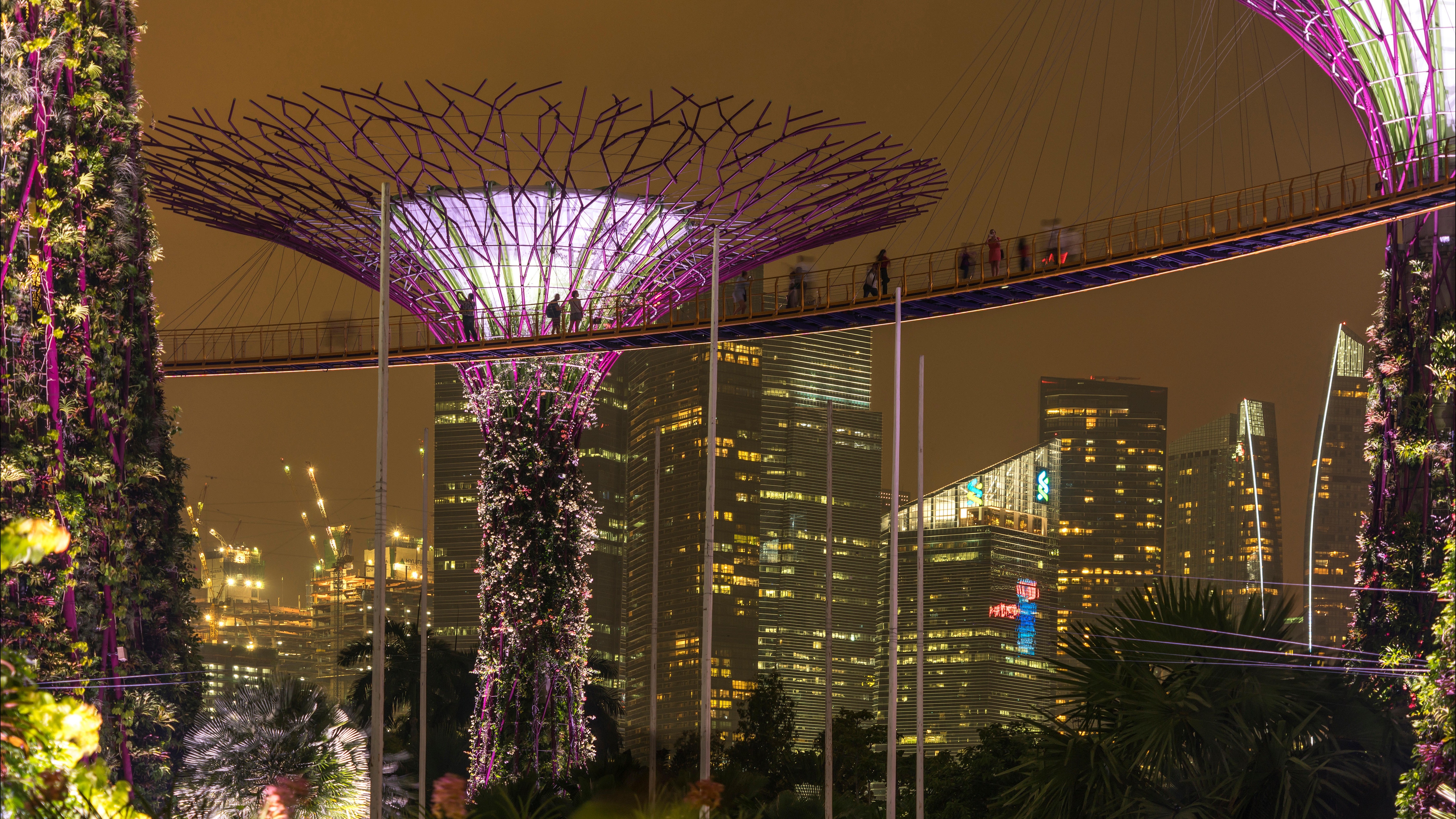 Tree of AST: A Bug-Hunting Framework Powered by LLMs