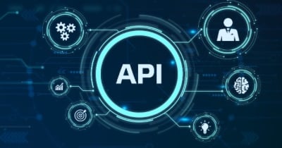 Api Areen API Attacks Soar Amid the Growing Application Surface Area