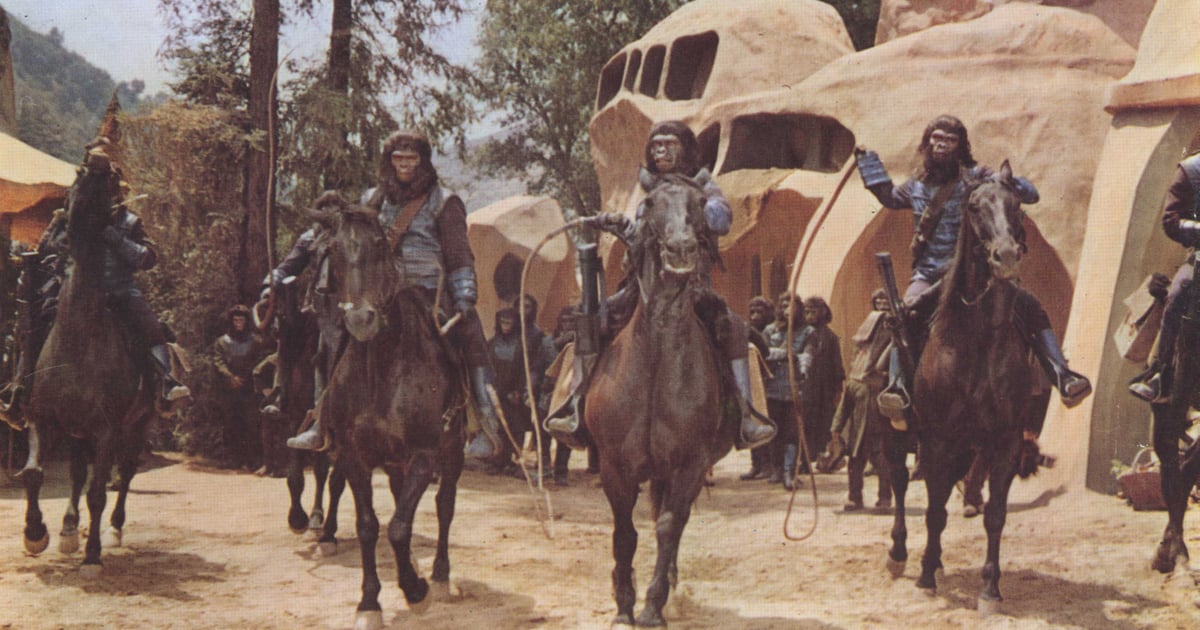 GorillaBot Launches 300K Cyberattacks Across the Globe GorillaBot Launches 300K Cyberattacks Across the Globe