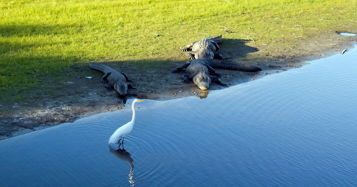 The Importance of Identifying Riskiest Users that are Often Overlooked The Importance of Identifying Riskiest Users that are Often Overlooked