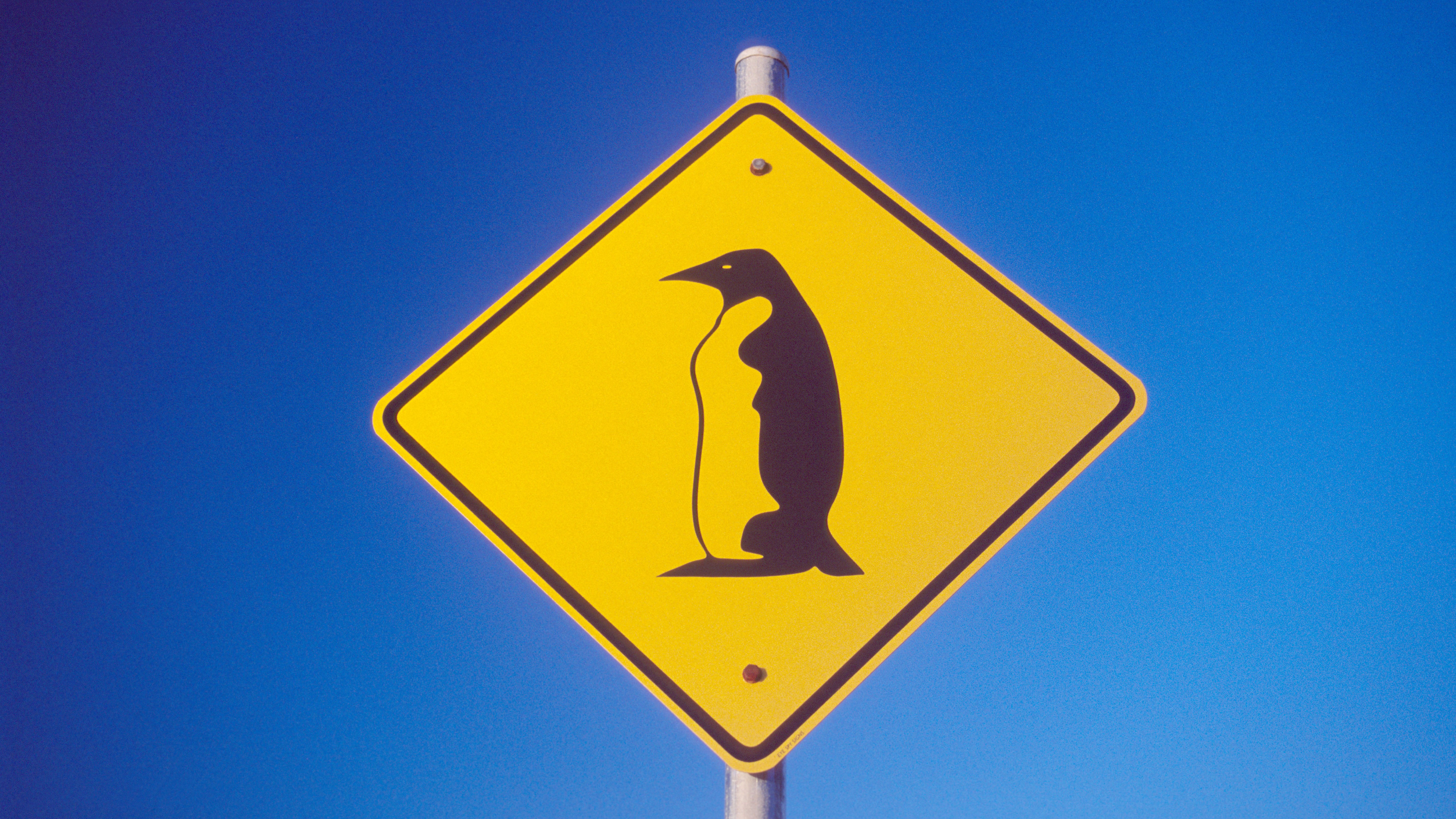 Another AI-Assisted Software Scan Yields 9-Year-Old Linux Bug