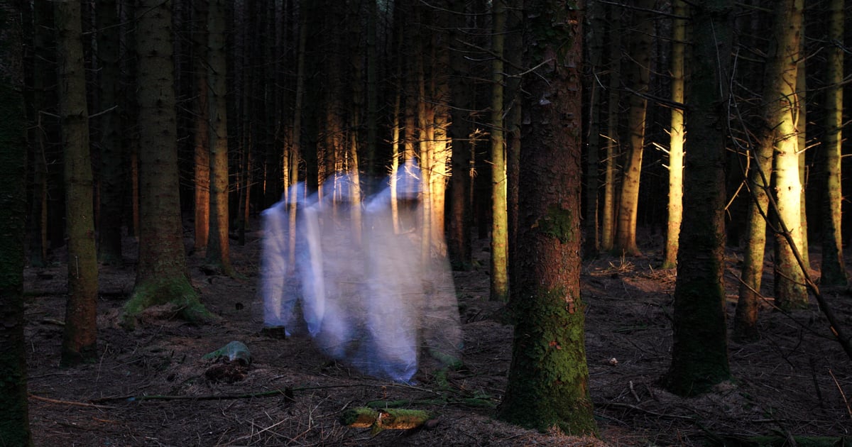 Salesforce 'Ghost Sites' Expose Sensitive Corporate Data