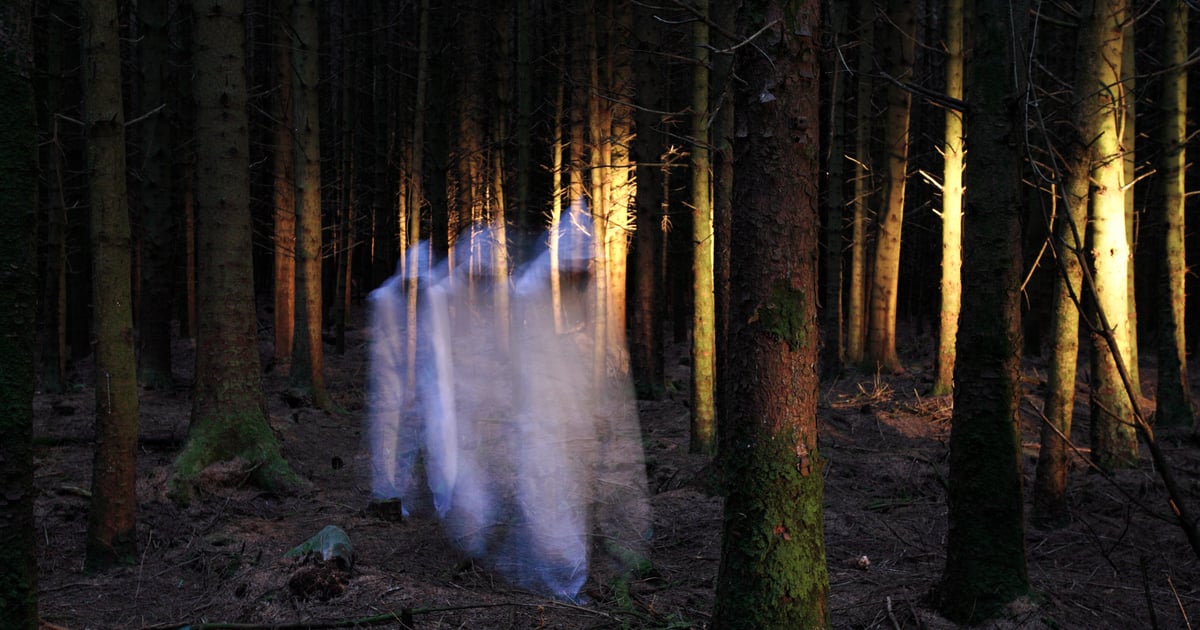 Salesforce 'Ghost Sites' Expose Sensitive Corporate Data