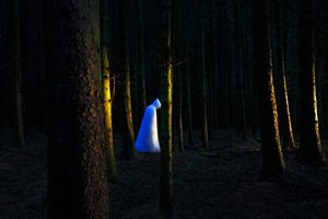 A hooded white ghost in the dark woods