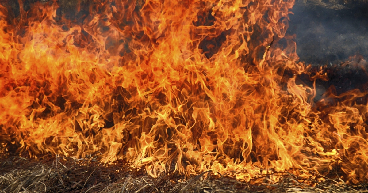 SonicWall Firewall Backups Stolen by Nation-State Actor